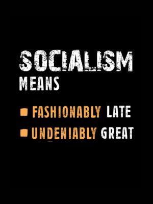 socialism means